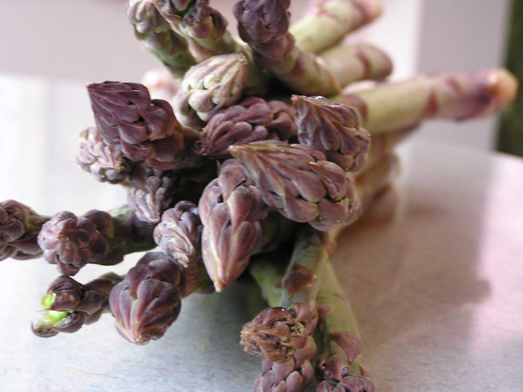 Asparagus Stalks